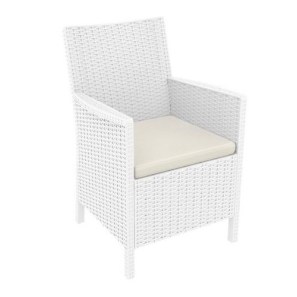 So here is the chair.  We purchased 2 of them - no cushion - I have red & white stripe cushions from Pottery Barn