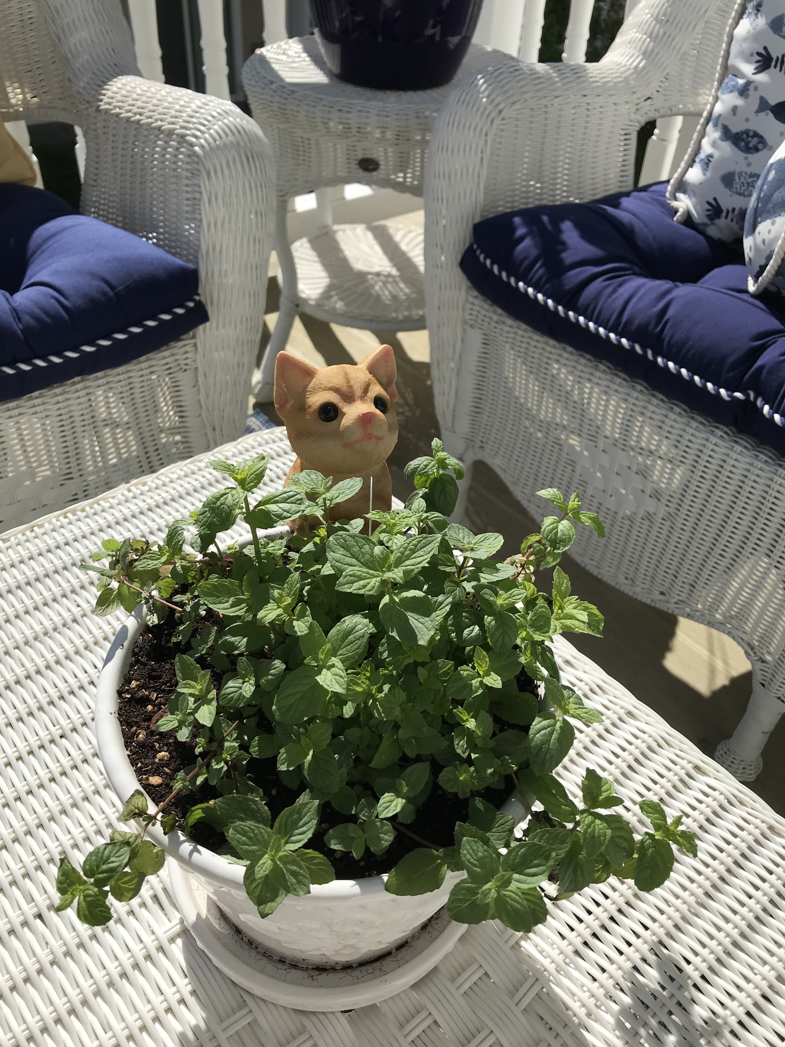 390146CC-2DBA-4BAD-BE9A-9027E943E6C8