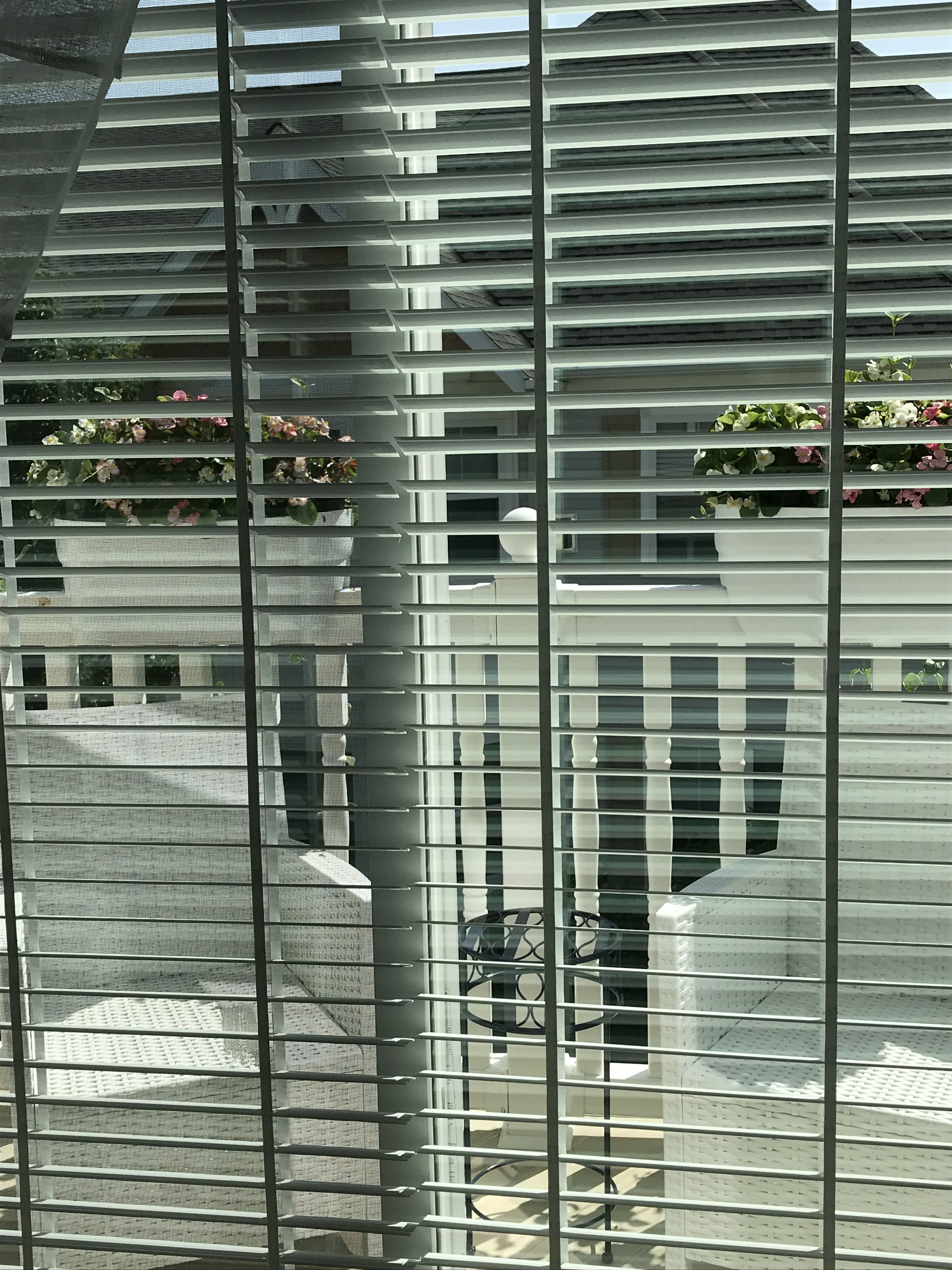 93EEA1F7-E2C4-4B13-81C2-6EDB1394FABA