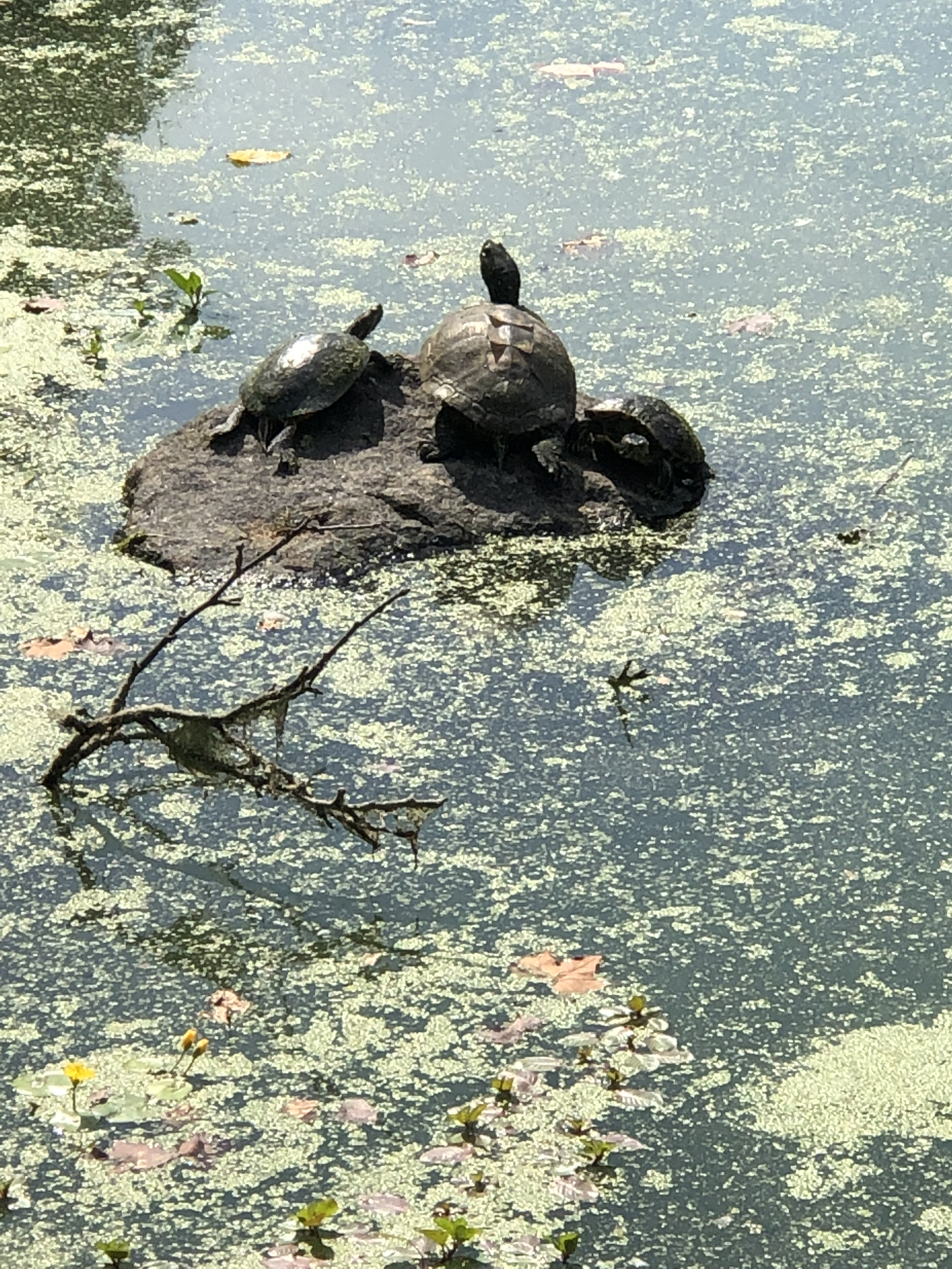 019268F5-5E5F-49BE-B41E-C788C1F4381A