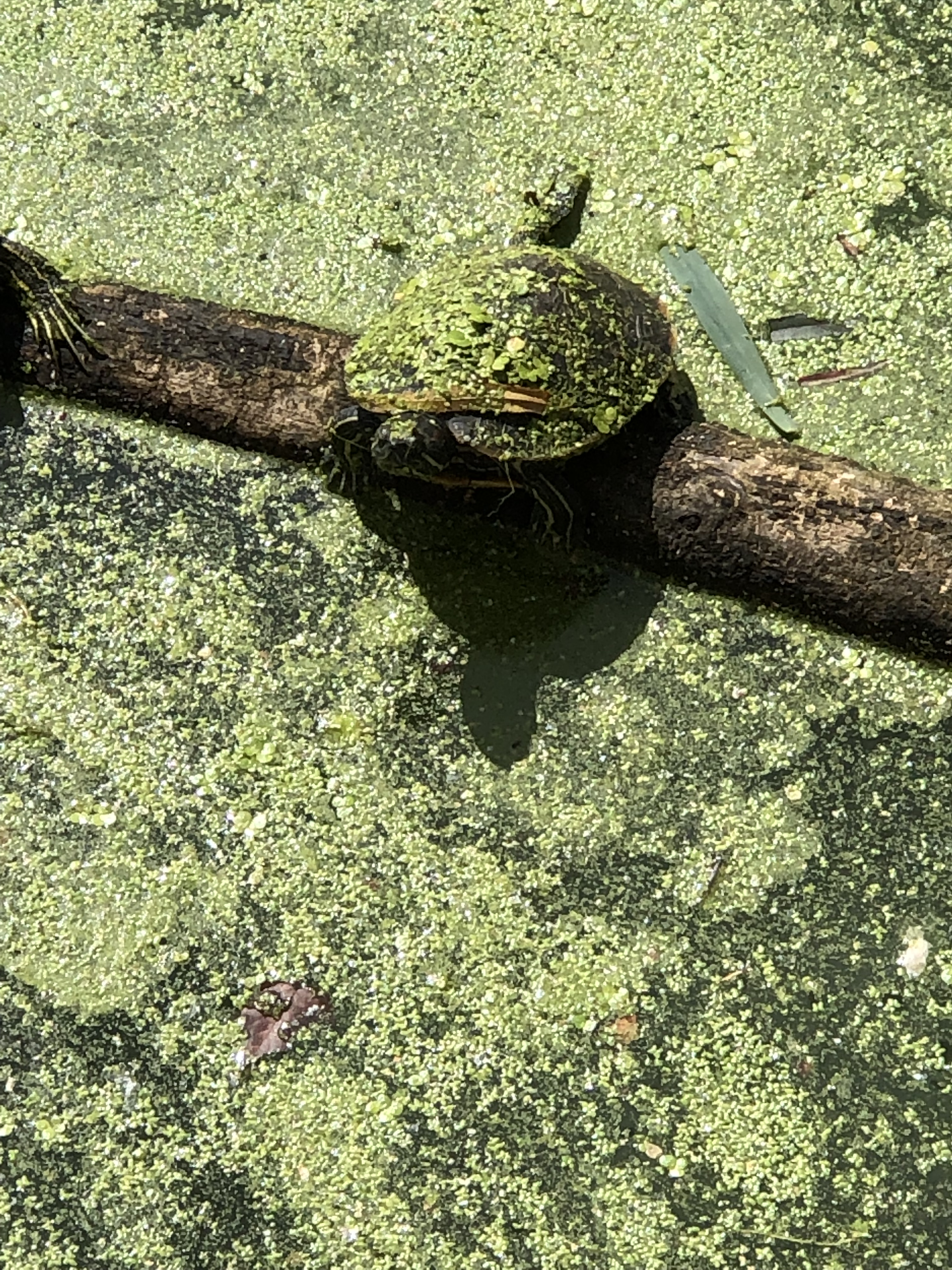 B72135BC-FE69-41B5-947A-E9FAC6EC1241